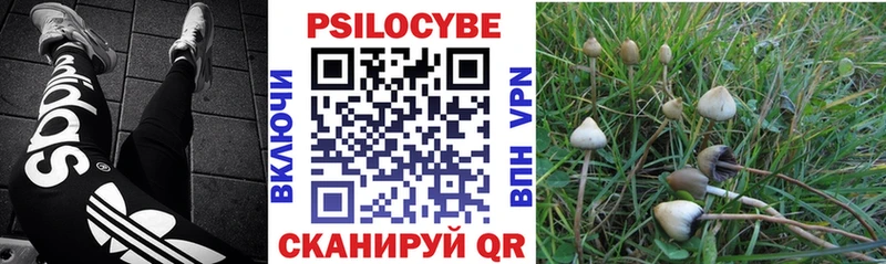 Галлюциногенные грибы Psilocybine cubensis  Бор 